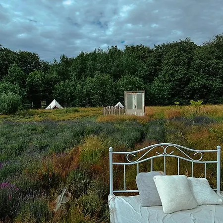 Wilcze Pole - Tu Odpoczniesz Od Swiata Campsite