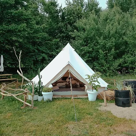 Wilcze Pole