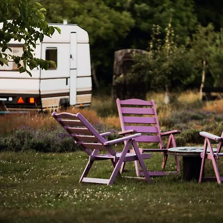 Wilcze Pole - Tu Odpoczniesz Od Swiata Campsite Postomino