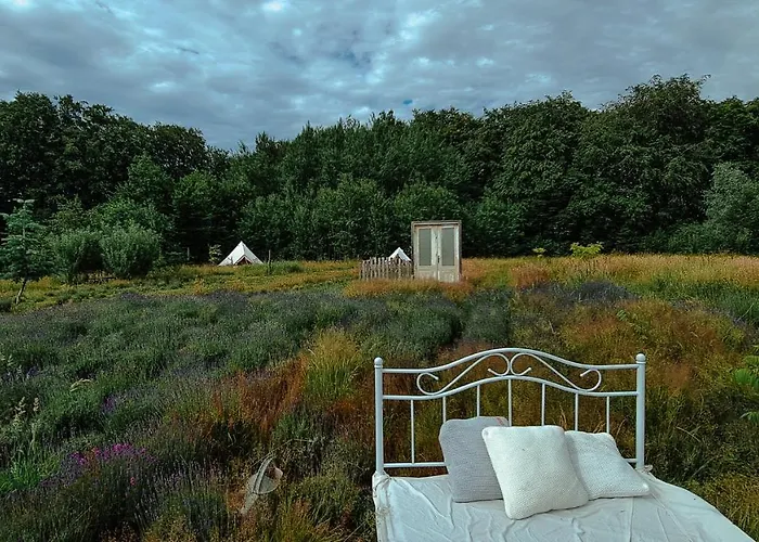 Wilcze Pole - Tu Odpoczniesz Od Swiata Camping