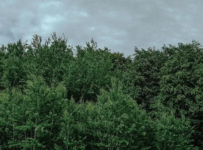 Parque de Campismo Wilcze Pole - Tu Odpoczniesz Od Swiata Postomino