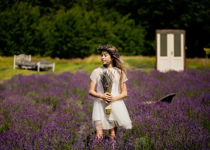 Wilcze Pole - Tu Odpoczniesz Od Swiata Postomino