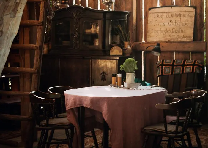 Camping Wilcze Pole - Tu Odpoczniesz Od Swiata