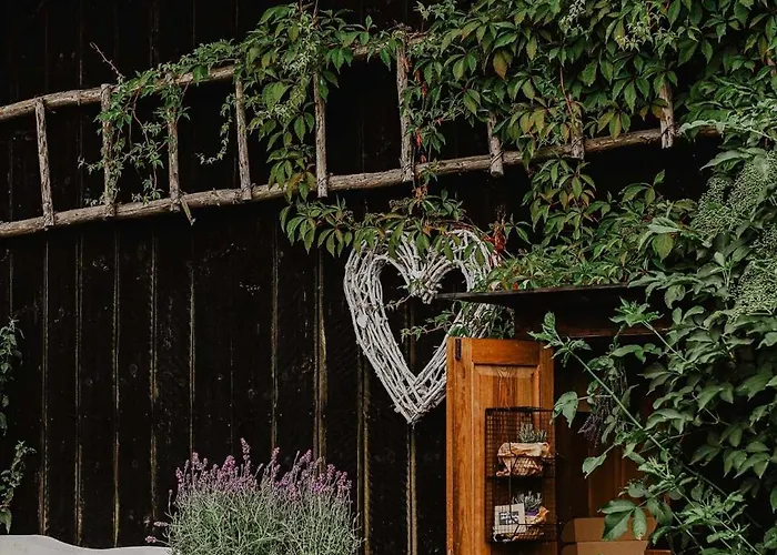 Wilcze Pole - Tu Odpoczniesz Od Swiata * Postomino