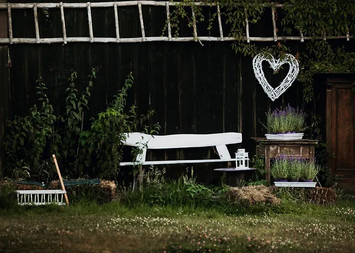 Wilcze Pole - Tu Odpoczniesz Od Swiata