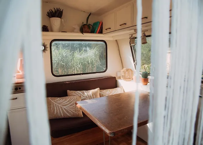 Wilcze Pole - Tu Odpoczniesz Od Swiata * Postomino