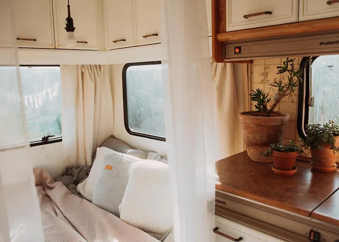 Wilcze Pole - Tu Odpoczniesz Od Swiata *