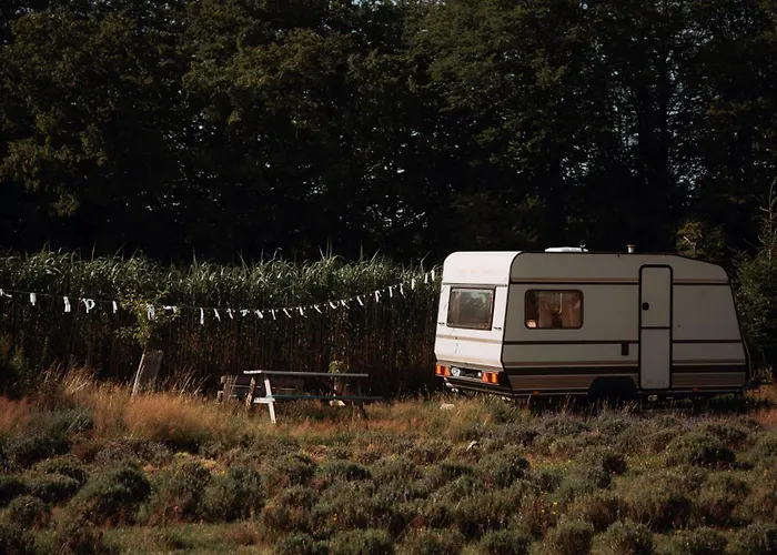 Wilcze Pole - Tu Odpoczniesz Od Swiata * Postomino